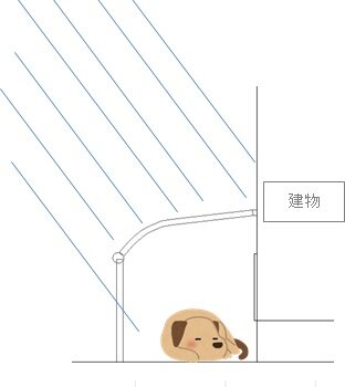 雨　犬　テラス屋根　2